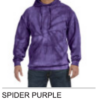 Spider Tie Dye Hoodie (Large Logo)